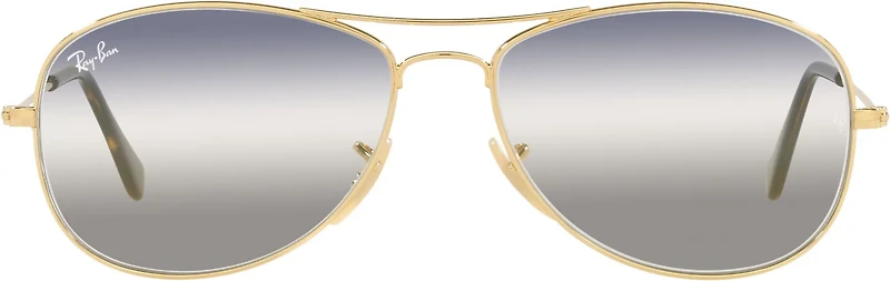 Ray-Ban Men's Cockpit Arista Aviator Sunglasses