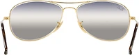 Ray-Ban Men's Cockpit Arista Aviator Sunglasses