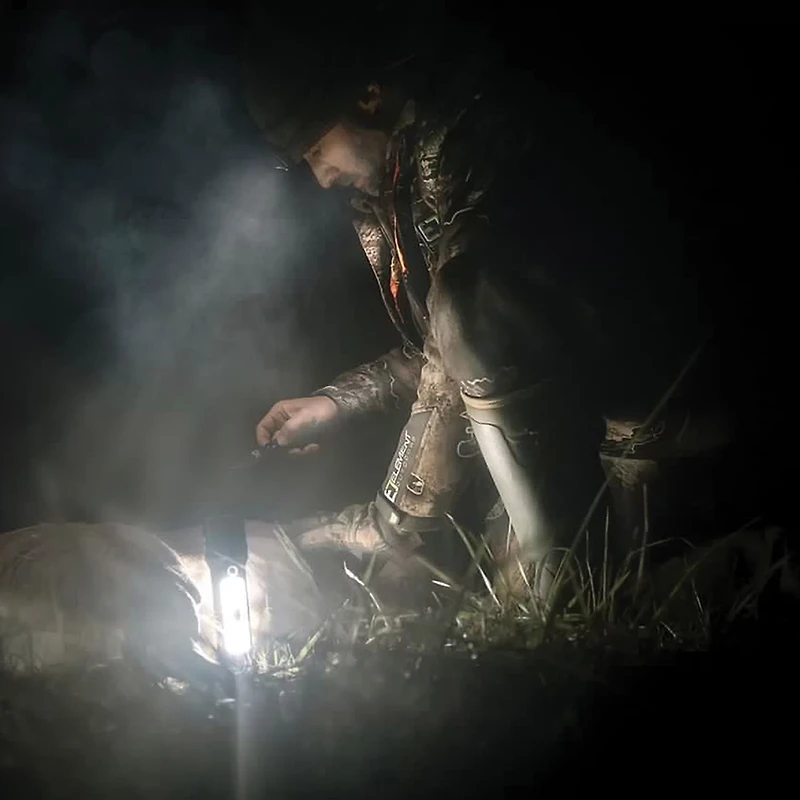 Panther Vision Flateye LED 2175L Rechargeable Lantern Flashlight