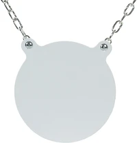 Allen Company EZ Aim 4 in AR500 Steel Gong Shooting Target