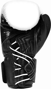 Everlast Protex 12 oz Boxing Gloves