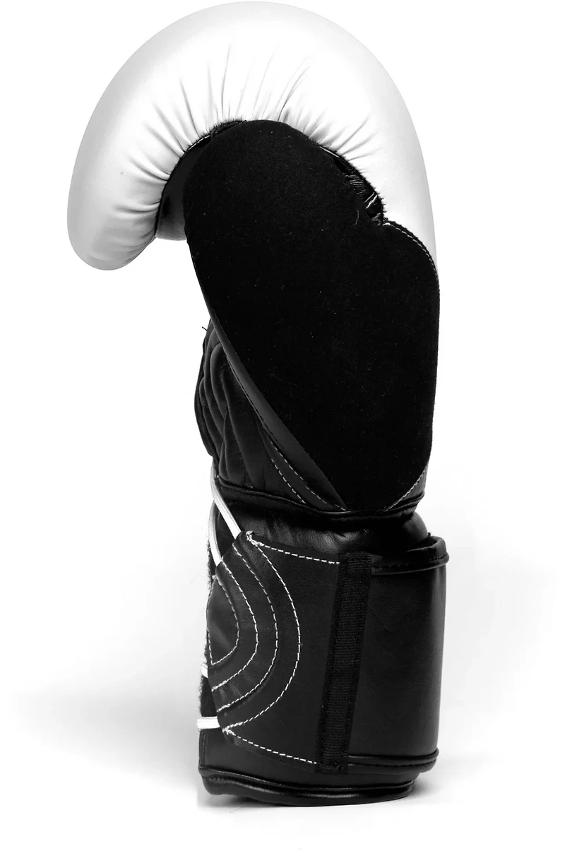 Everlast Protex 12 oz Boxing Gloves