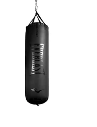 Everlast Elite Nevatear 80 lb Heavy Bag Kit