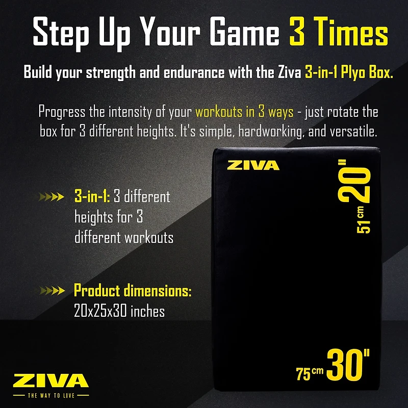 ZIVA Plyo Fitness Box