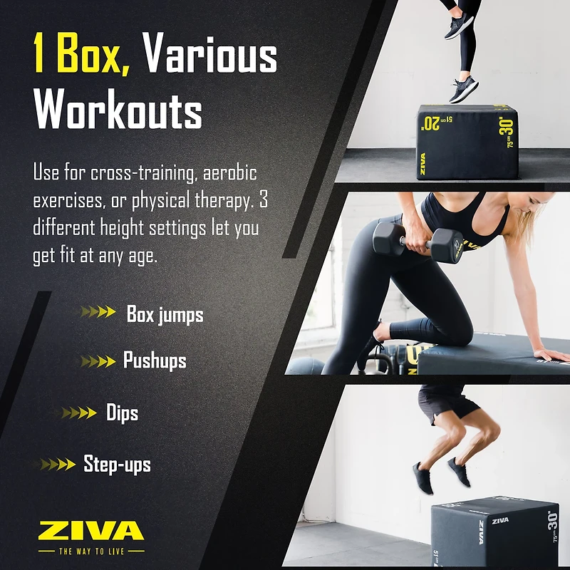 ZIVA Plyo Fitness Box