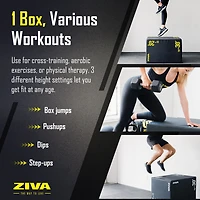 ZIVA Plyo Fitness Box