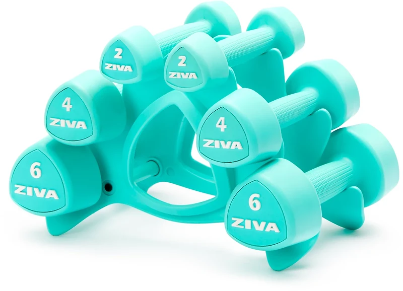 ZIVA Chic 24 lbs Dumbbell Set with Stand