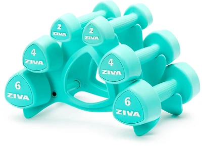 ZIVA Chic 24 lbs Dumbbell Set with Stand