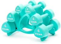 ZIVA Chic 24 lbs Dumbbell Set with Stand