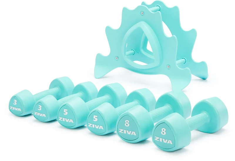 ZIVA Chic 24 lbs Dumbbell Set with Stand