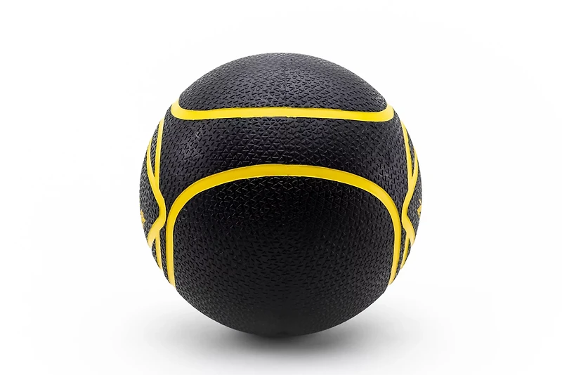 ZIVA Medicine Ball