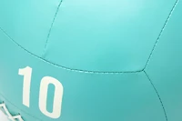 ZIVA Chic Exercise Wall Ball