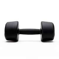 ZIVA Studio Tribell Dumbbells – Pair