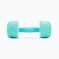 ZIVA Chic Tribell Dumbbells – Pair