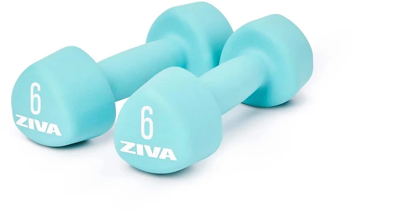 ZIVA Vinyl Tribell Dumbbells – Pair