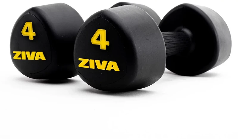 ZIVA Studio Tribell Dumbbells – Pair