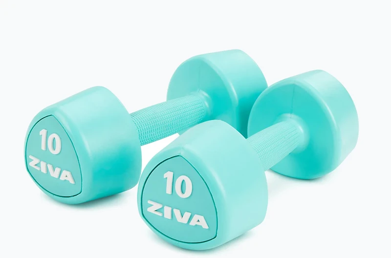 ZIVA Chic Tribell Dumbbells – Pair