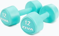 ZIVA Chic Tribell Dumbbells – Pair