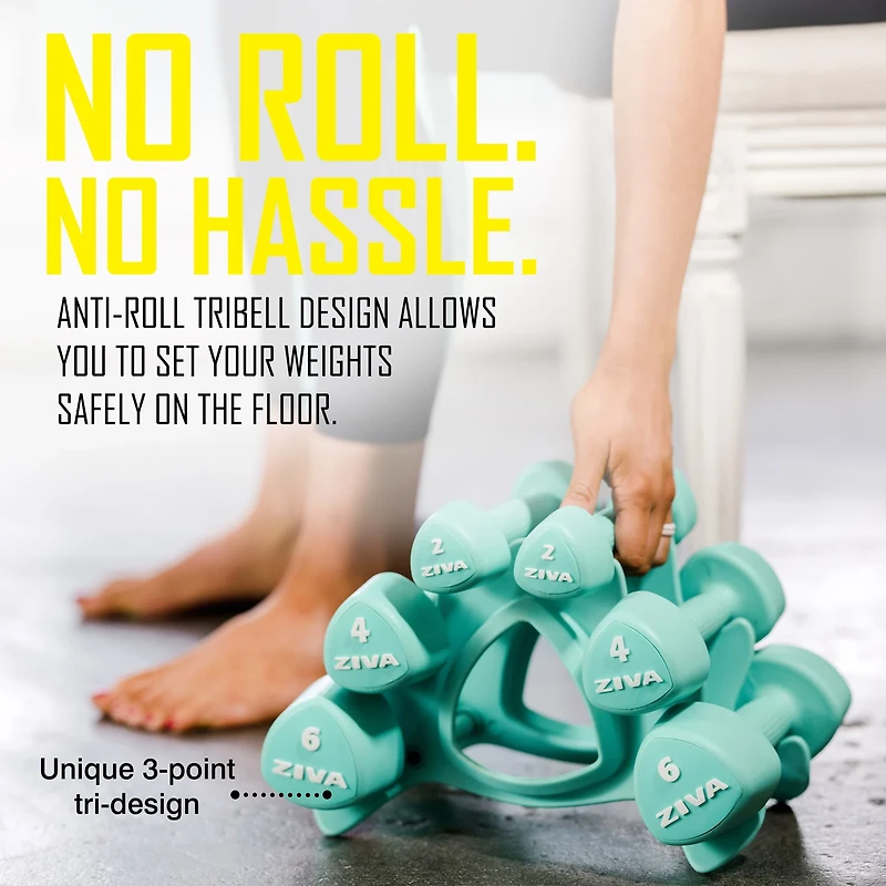 ZIVA Chic 24 lbs Dumbbell Set with Stand