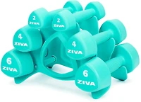 ZIVA Chic Wellness Kit