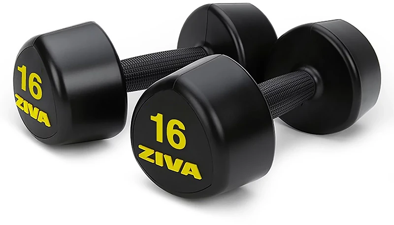 ZIVA Studio Tribell Dumbbells – Pair