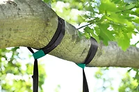 Adventure Playsets 6ft Tree Hanger