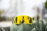 Knockaround Adults' Campeone Soul Surfer Sunglasses