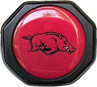 Team Golf University of Arkansas Pickleball Paddle