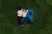 Picnic Time Carolina Panthers Impresa Picnic Blanket