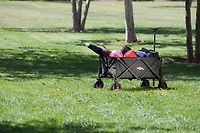 Picnic Time Denver Broncos Portable Utility Wagon