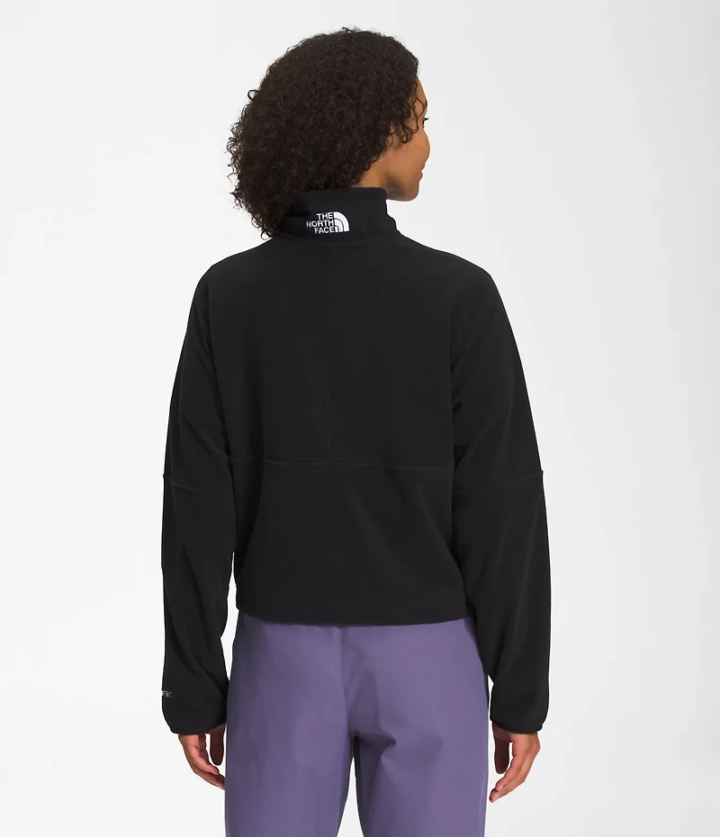 The North Face Women's Alpine Polartec 100 1/4 Zip Pullover