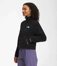 The North Face Women's Alpine Polartec 100 1/4 Zip Pullover