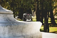 Picnic Time San Francisco 49ers Pranzo Lunch Cooler Bag