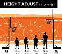 Lifetime Mammoth Bolt Down 72 in Glass Basketball Hoop