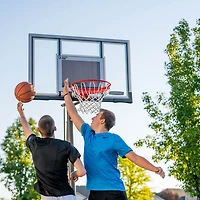 Lifetime 54 in Inground Basketball Hoop