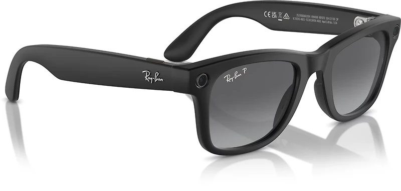 Ray-Ban Wayfarer Meta Medium Polarized Sunglasses