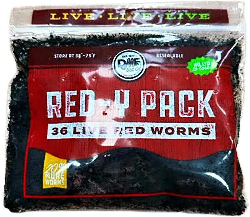 DMF Bait Live Red Worms 36-Pack