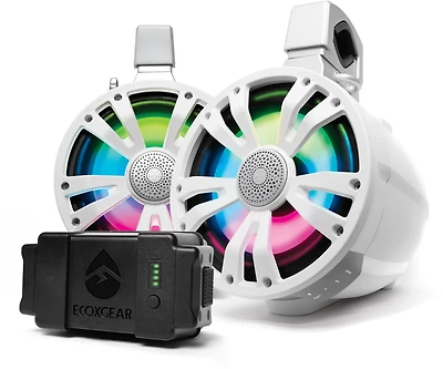 ECOXGEAR Sound Extreme Tower 8 in One AMP Speaker and Battery and One Non-Amplified Speaker 2-Pack
