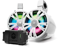 ECOXGEAR Sound Extreme Tower 8 in One AMP Speaker and Battery and One Non-Amplified Speaker 2-Pack