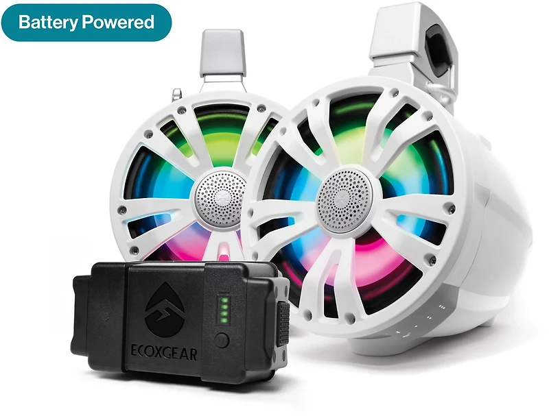 ECOXGEAR Sound Extreme Tower 8 in One AMP Speaker and Battery and One Non-Amplified Speaker 2-Pack