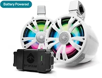 ECOXGEAR Sound Extreme Tower 8 in One AMP Speaker and Battery and One Non-Amplified Speaker 2-Pack