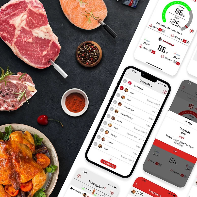 ThermoPro TP962W Twin TempSpike Wireless Meat Thermometer