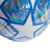 adidas Men's UCL Train Foil Soccer Ball
