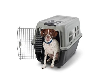 Academy Sports + Outdoors Wheeled Portable Large Kennel