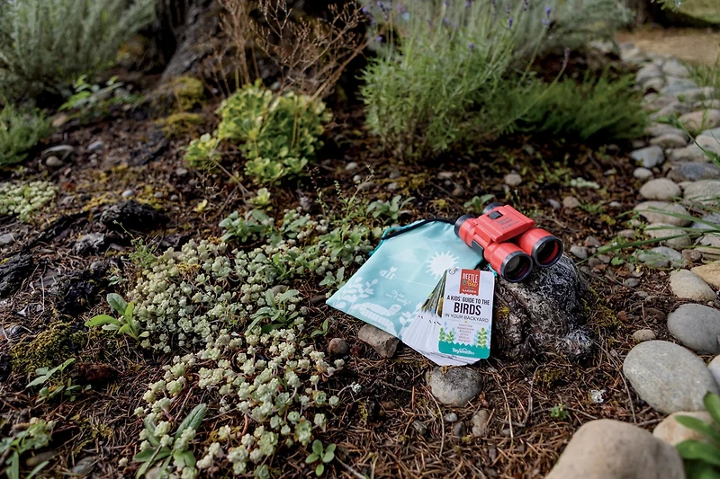 Toysmith Little Birder Set