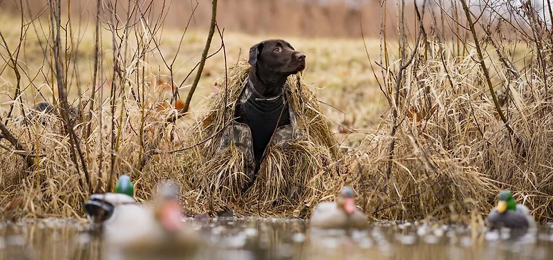 ALPS Outdoorz Alpha Dog Blind