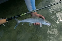 St. Croix Rod-Triumph Spinning Rod