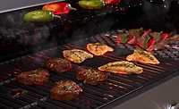 Outdoor Gourmet Classic 6-Burner Gas Grill