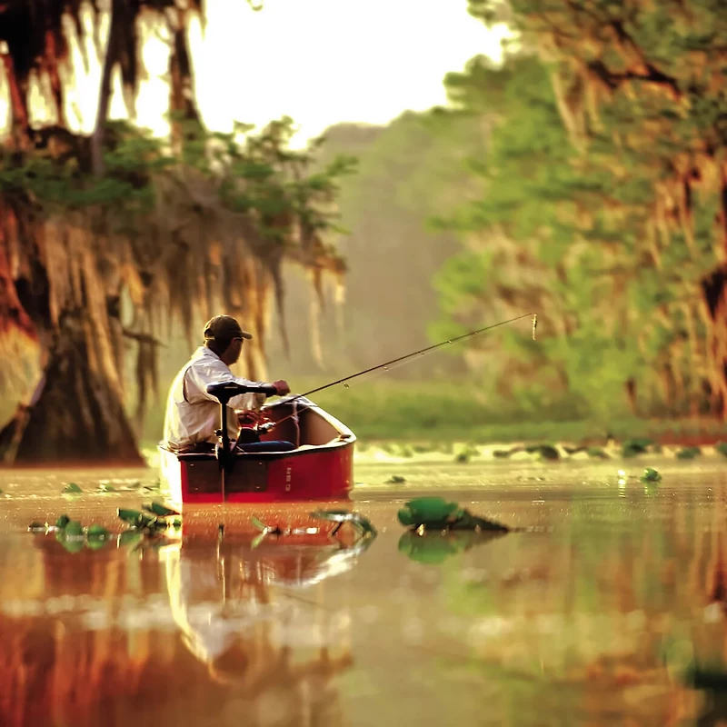 Minn Kota Endura Lb Thrust C2 Transom Mount Trolling Motor with Battery Meter