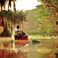 Minn Kota Endura Lb Thrust C2 Transom Mount Trolling Motor with Battery Meter